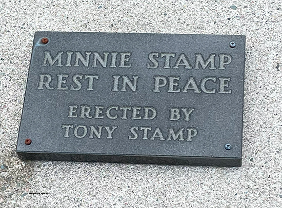 Minnie Stamp
