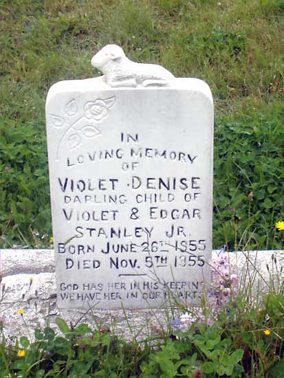Violet Denise Standley