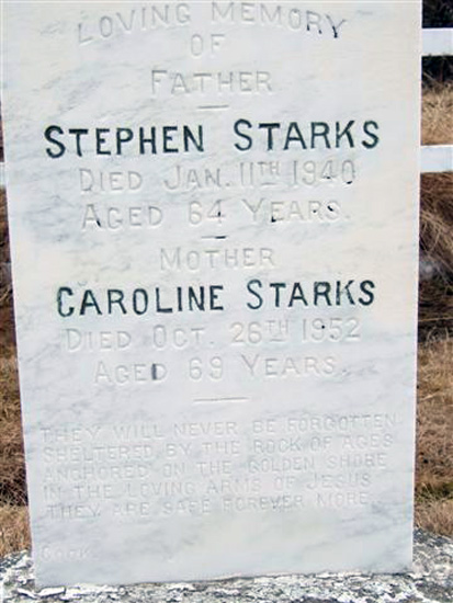 Stephen and Caroline Starks