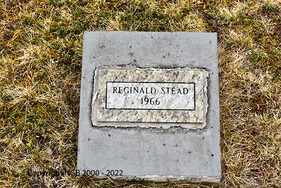 Reginald Stead