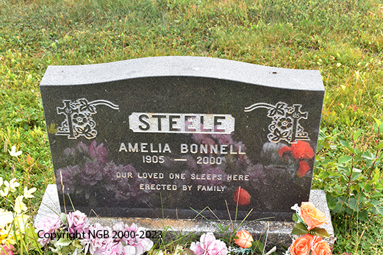 Amelia Bonnell Steele