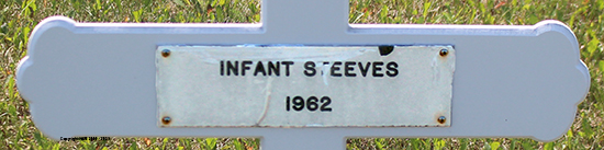 Infant Steeves
