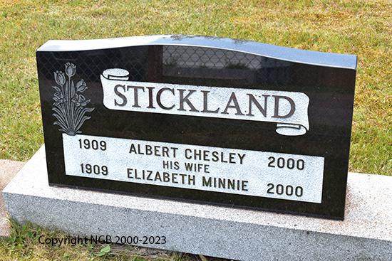 Albert Chesley & Elizabeth Minnie Stickland