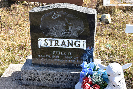 Peter D. Strang