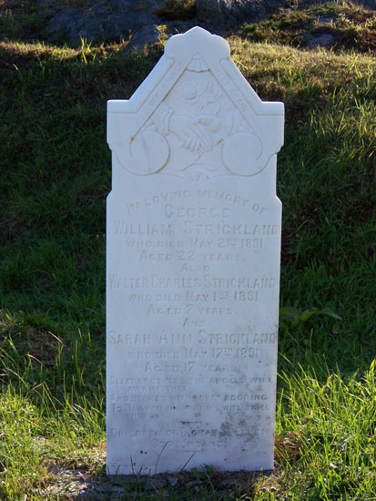 William, Wlater Charles & Sarah Ann Strickland