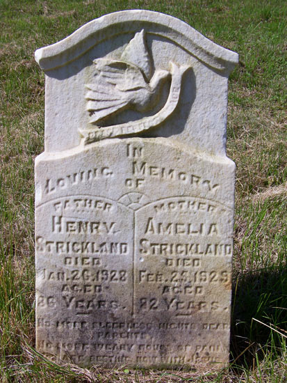 Henry & Amelia Strickland