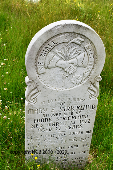 Mary E. Strickland