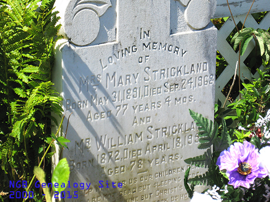 Mrs Mary Strickland & Mr William Strickland