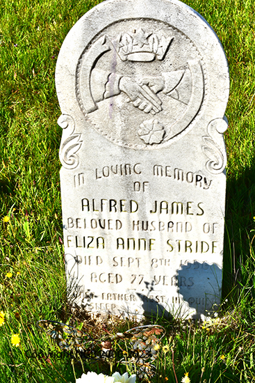 Alfred James Stride