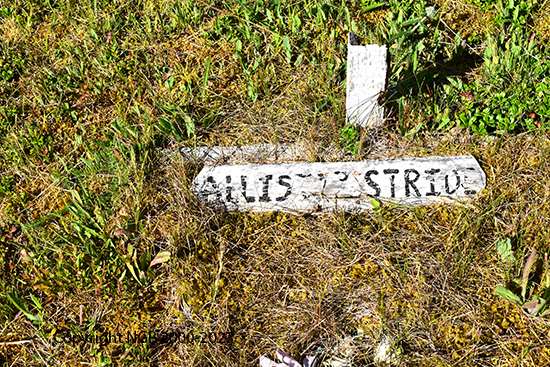 Allis Stride