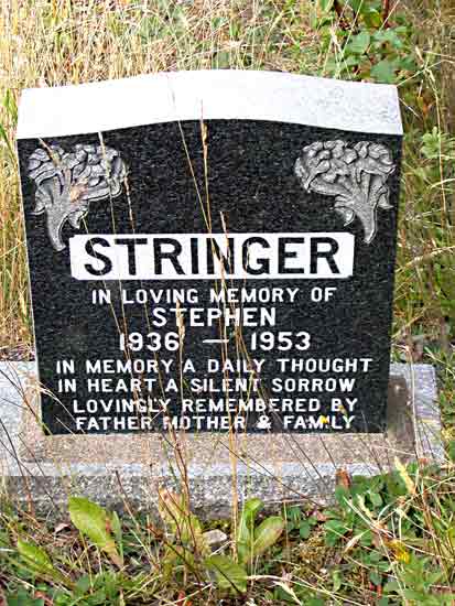 Stephen Stringer