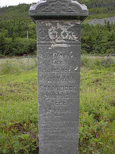 Mary Ann Strobridge