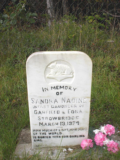 Sandra Nadine Strowbridge