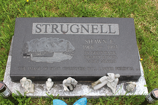 Shawn E. Strugnell