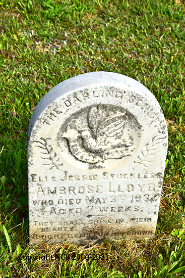 Ambrose Lloyd Stuckless
