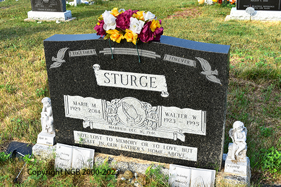 Walter Willmore Sturge