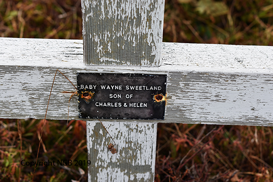 Baby Wayne Sweetland