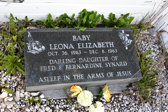 Baby Leona Elizabeth Synard