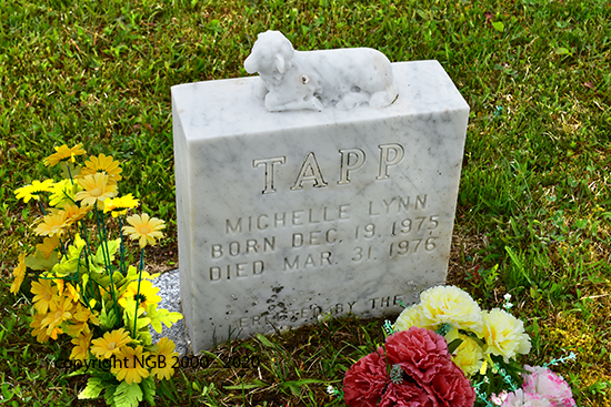 Michelle Lynn Tapp
