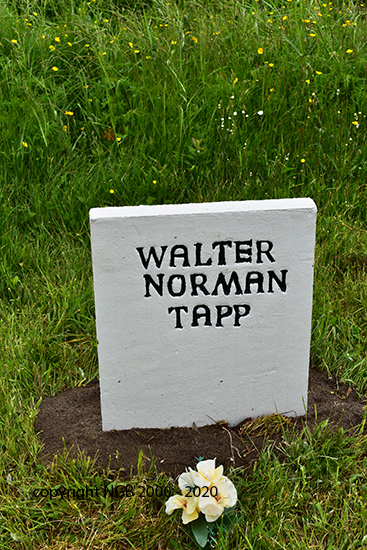 Walter Norman Tapp