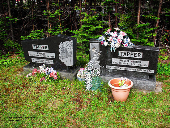 Ambrose & Amelia Tapper