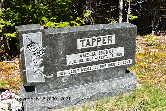 Amelia Tapper