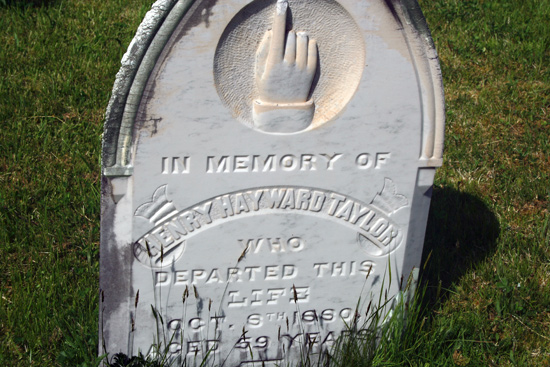 Henry Hayward Taylor