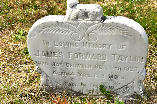 James Forward Taylor