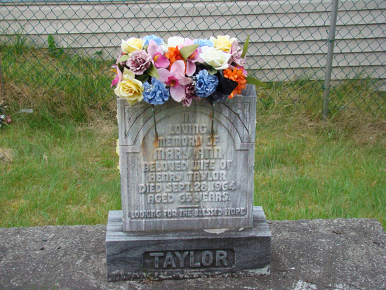 Mary Ann Taylor