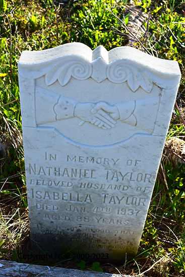 Nathaniel Taylor