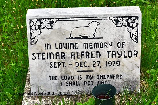 Steinar-Alfred Taylor