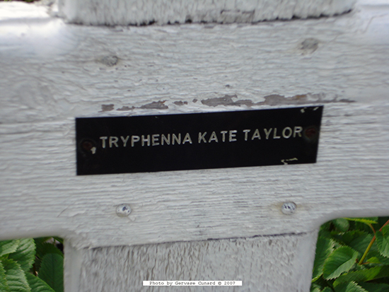Tryphena Kate Taylor