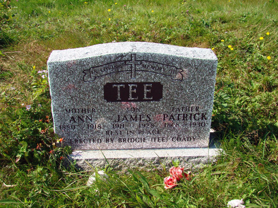 Ann, James & Patrick Tee