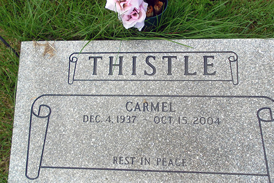 Carmel Thistle
