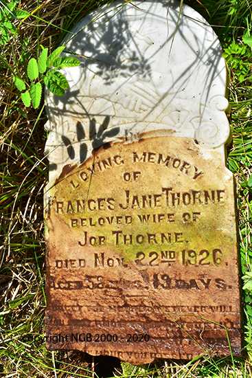 Frances Jane Thorne
