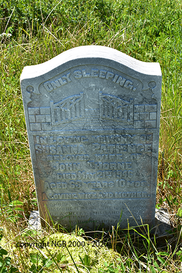 Susanna Patience Thorne