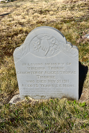 Virginia Thorne