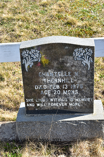 Chantelle N. Thornhill