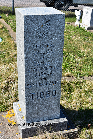 Wm & Samuel & Joshua & Samuel Davis Tibbo