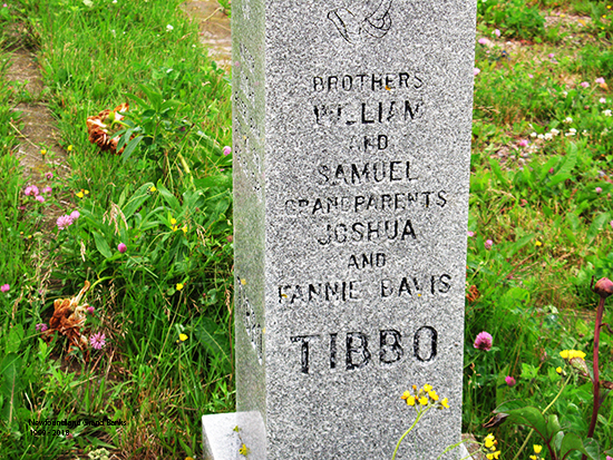 Tibbo Family