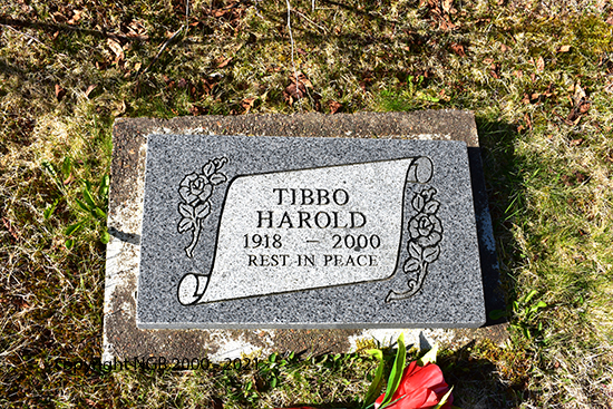 Harold Tibbo