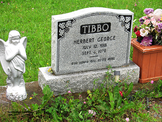 Herbert George Tibbo