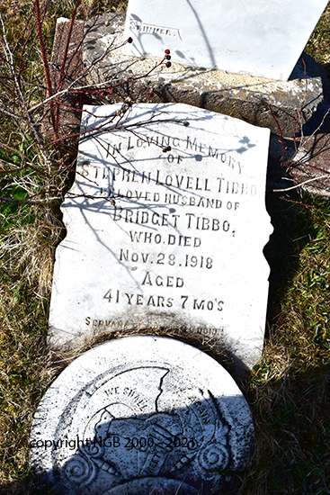 Stephen Lovell Tibbo