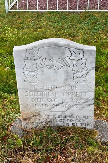Solomon Tippett
