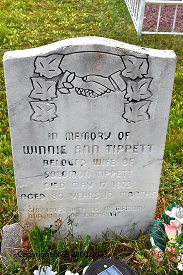 Winnie Ann Tippett