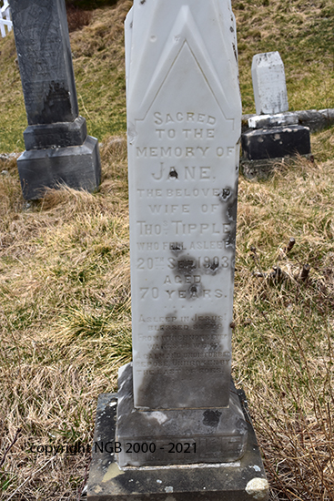 Jane Tipple