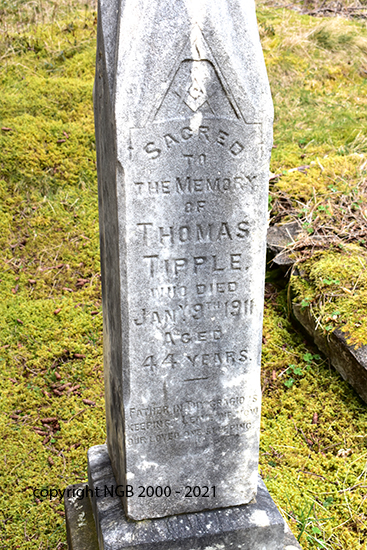 Thomas Tipple