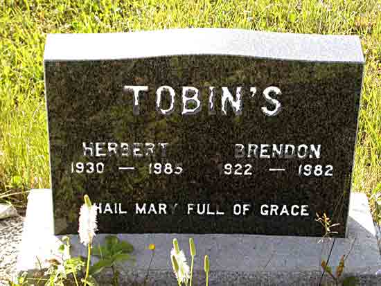 Herbert and Brendon Tobin