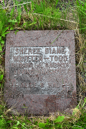 Sheree Diane Whitten Todd