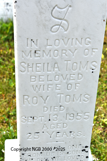 Sheila Toms